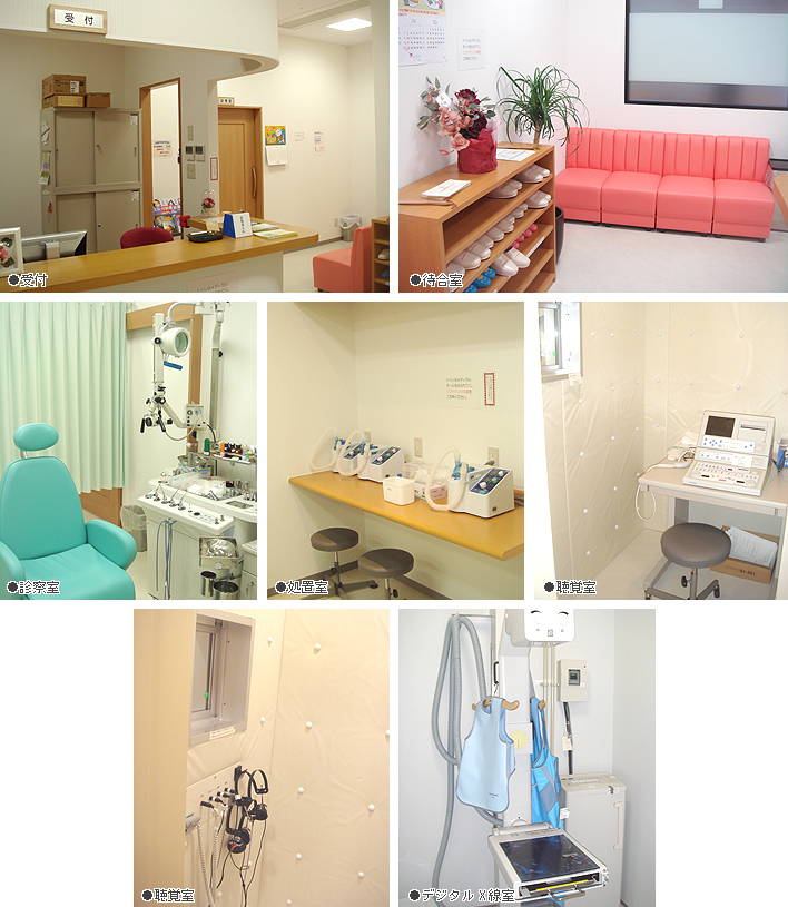 �@�����i